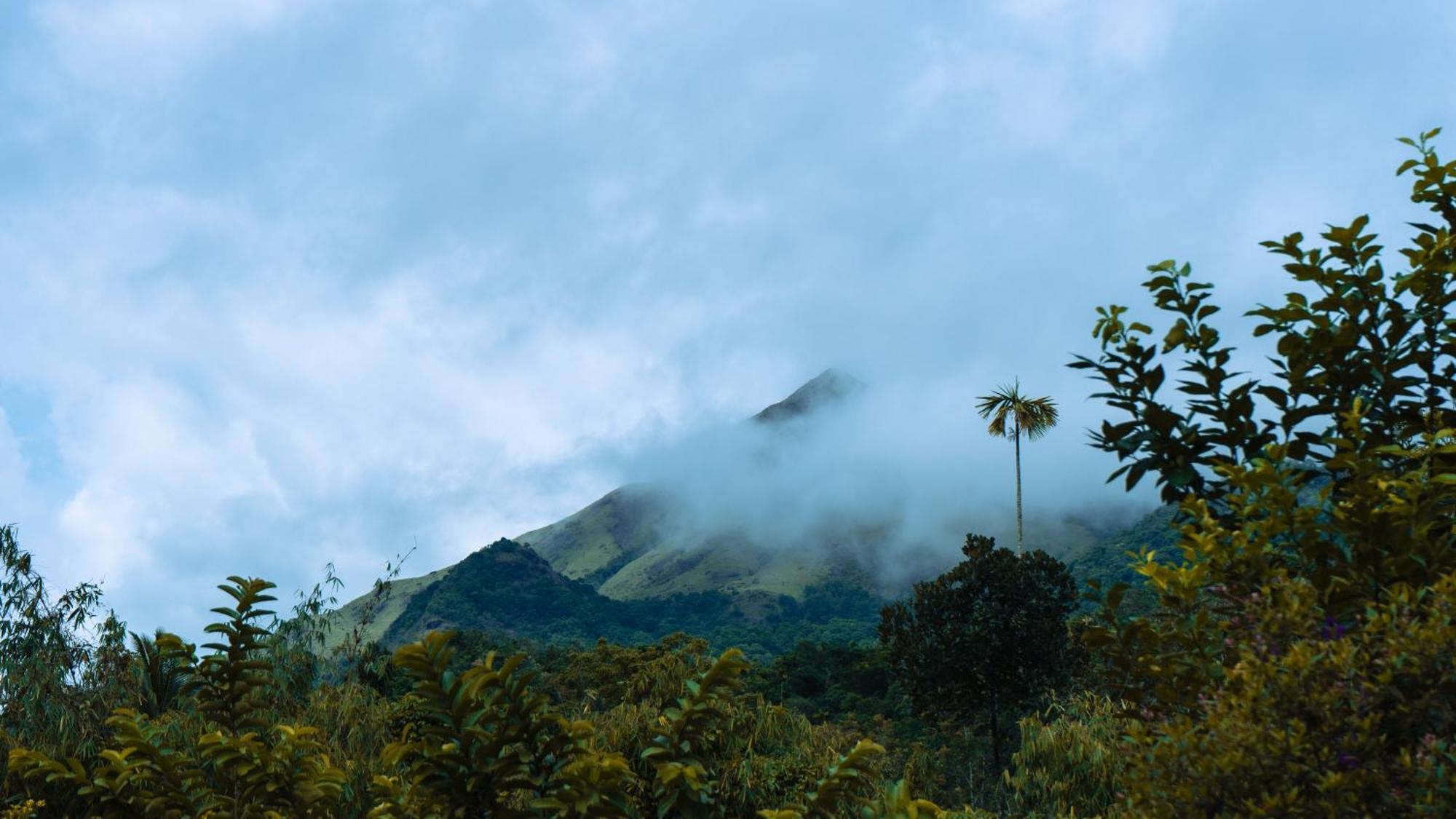 Vythiri Holiday Resort, Wayanad Екстер'єр фото